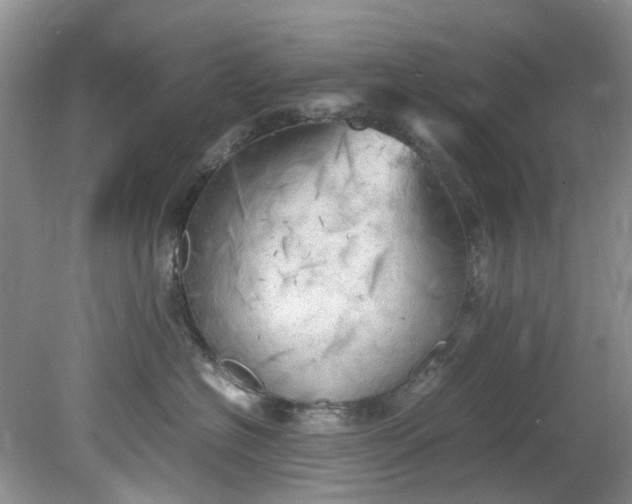 X0000079340574200612011937