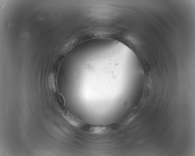 X0000079340575200612011937