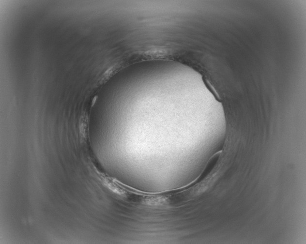 X0000079340576200612011937