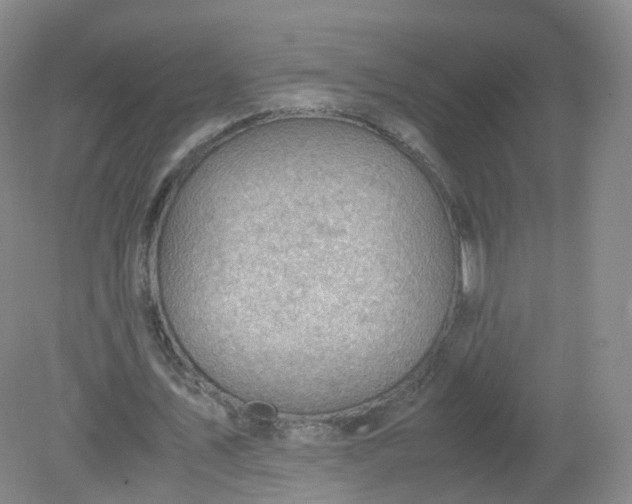 X0000079340579200612011936