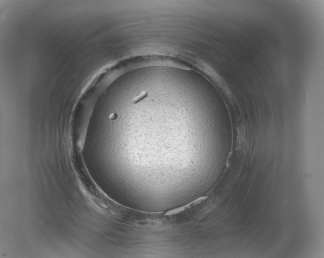 X0000079340580200612011936