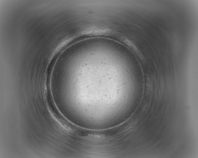 X0000079340582200612011936