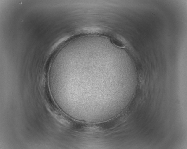 X0000079340583200612011936