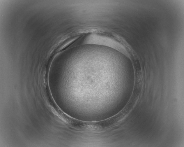 X0000079340585200612011936