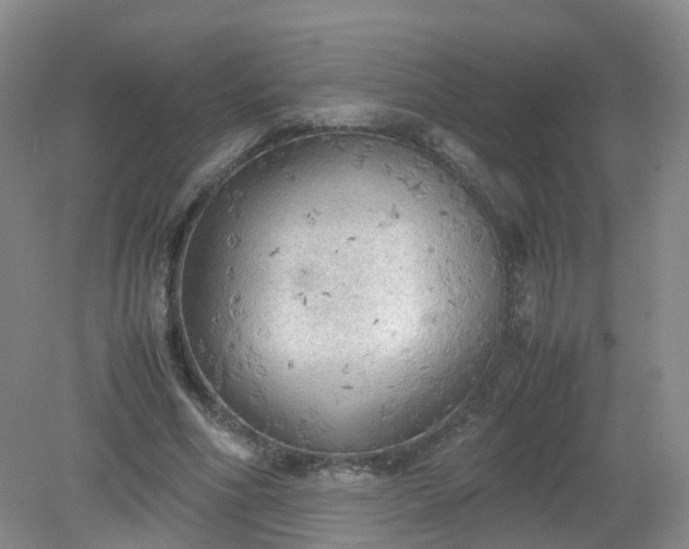 X0000079340586200612011936