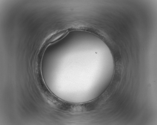 X0000079340587200612011936