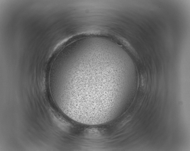 X0000079340588200612011936