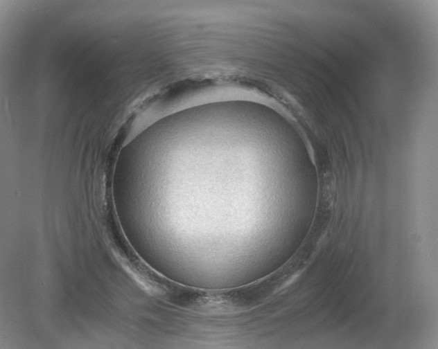 X0000079340589200612011936