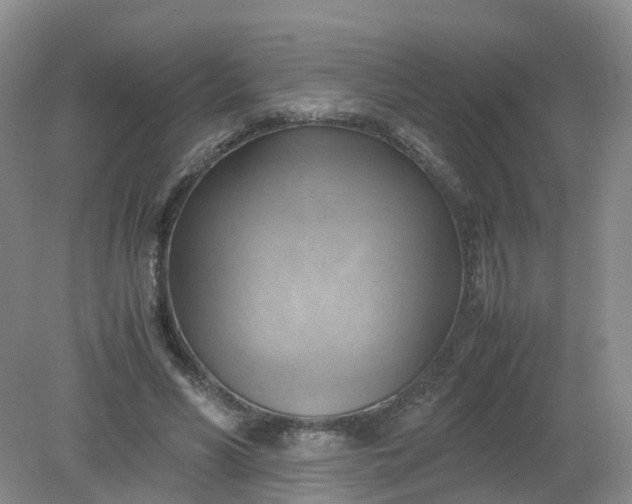 X0000079340590200612011936