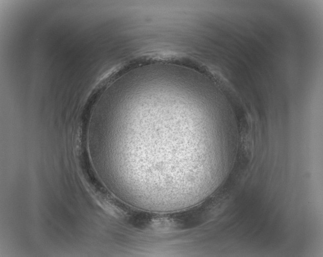 X0000079340591200612011936