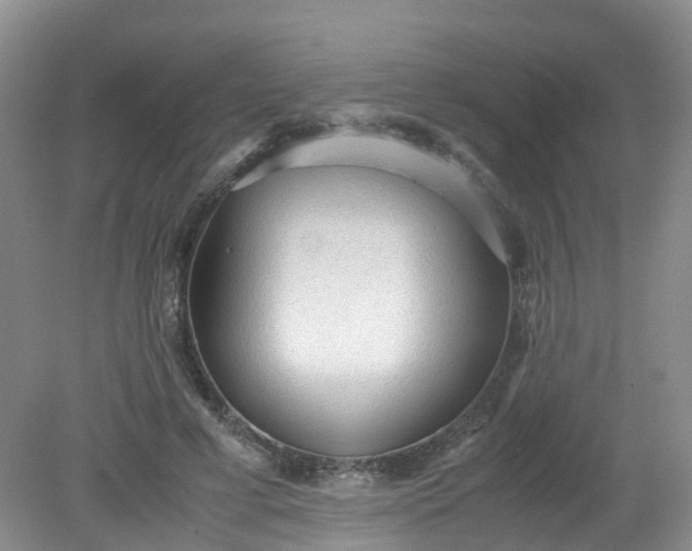 X0000079340593200612011936