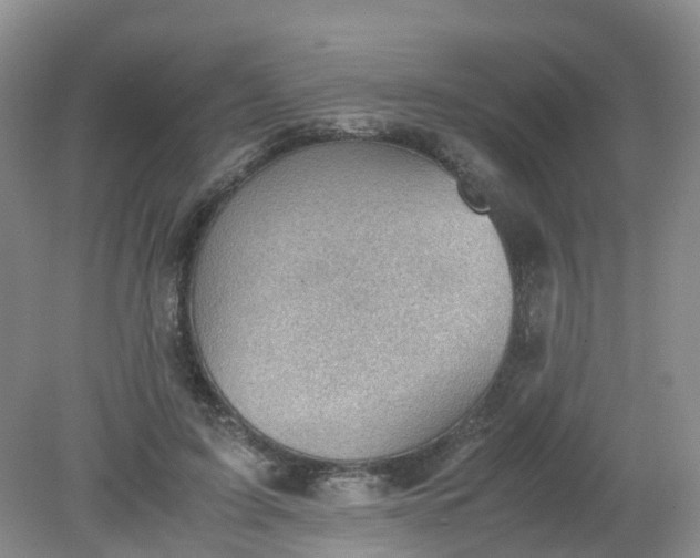 X0000079340595200612011936