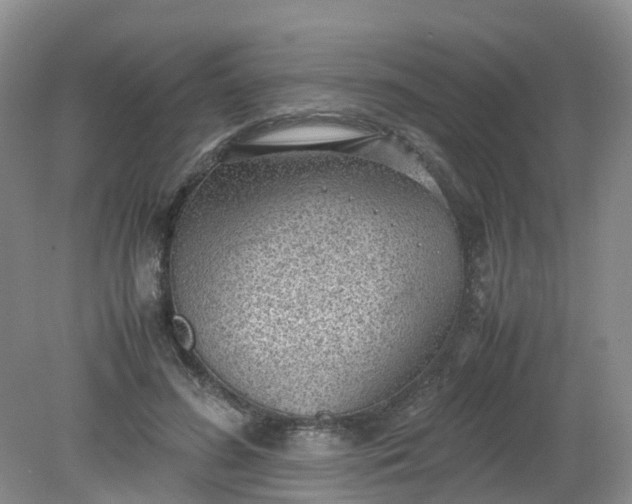 X0000079340596200612011936