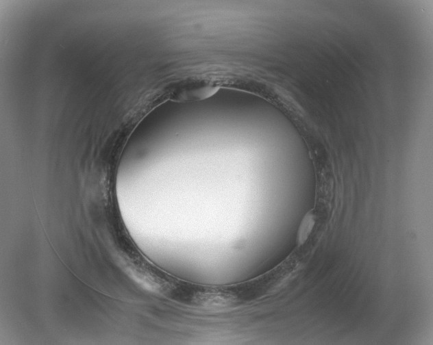 X0000079340597200612011936