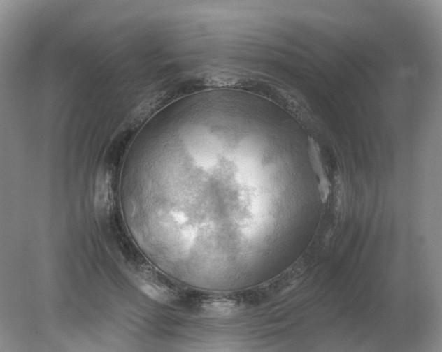 X0000079340598200612011936