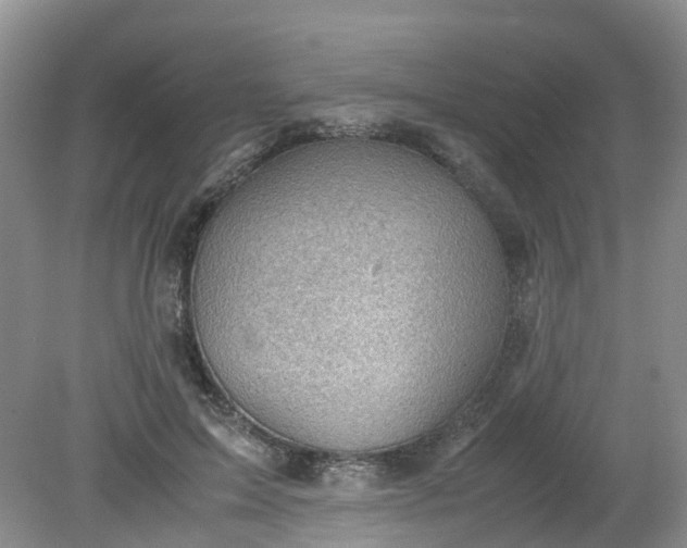 X0000079340599200612011936