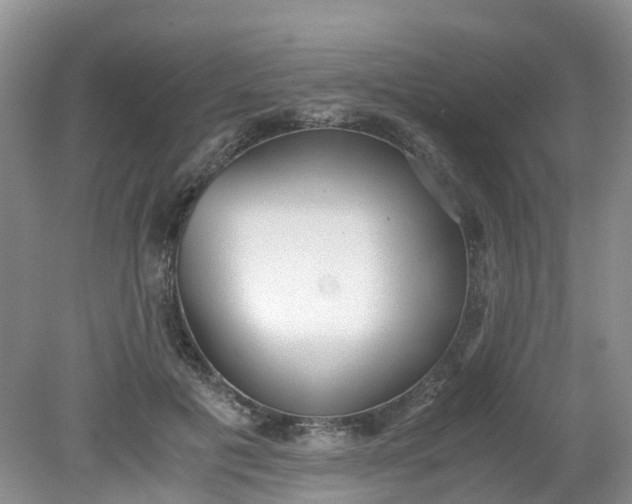 X0000079340601200612011936