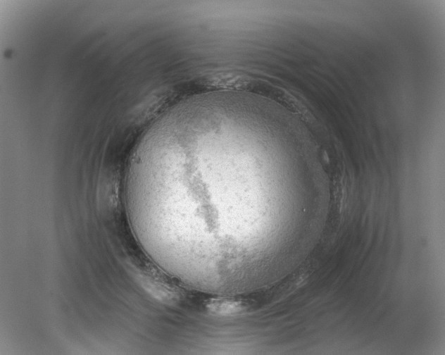 X0000079340602200612011936