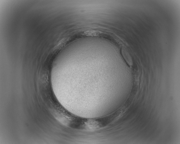 X0000079340603200612011936