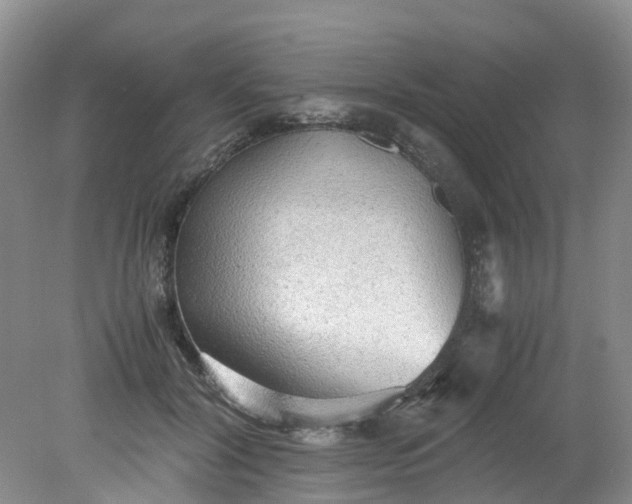 X0000079340604200612011936