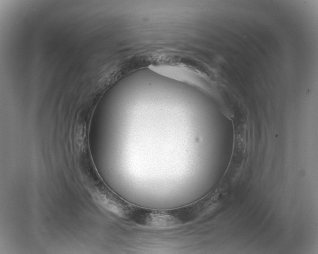 X0000079340605200612011936