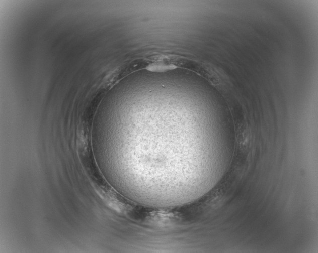 X0000079340607200612011936