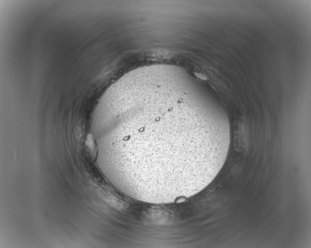 X0000079340608200612011936