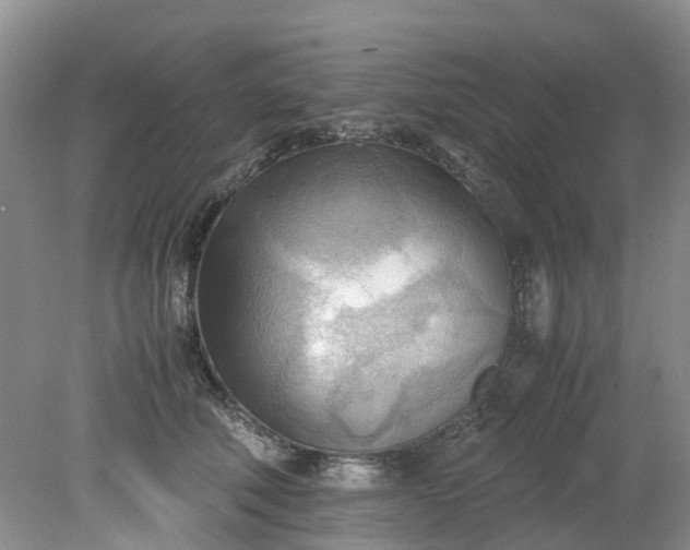 X0000079340610200612011935