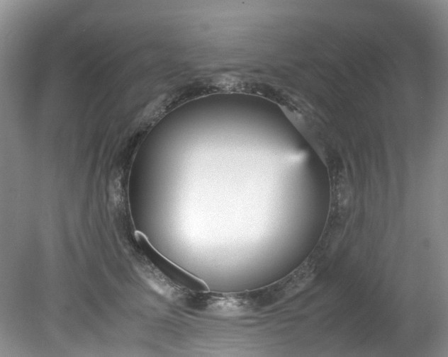 X0000079340611200612011935