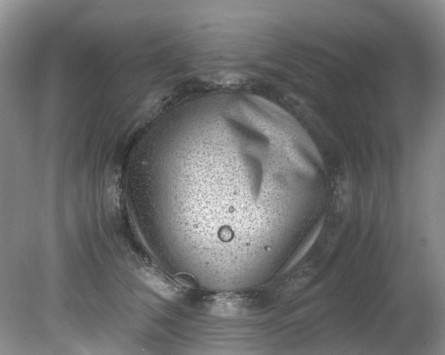 X0000079340612200612011935