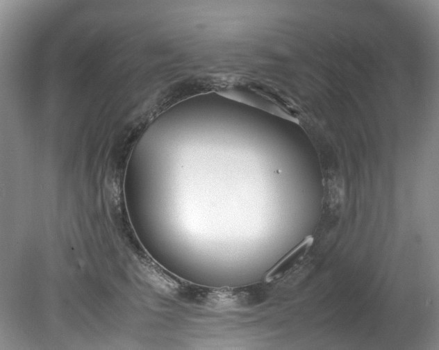 X0000079340613200612011935