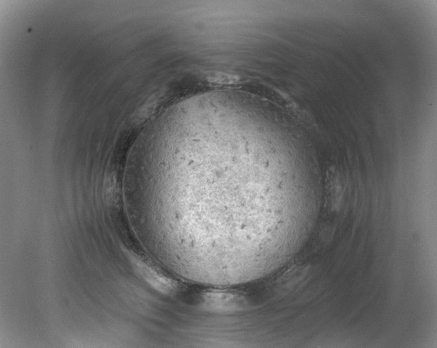 X0000079340614200612011935