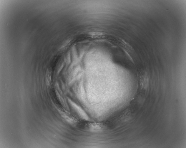 X0000079340618200612011935