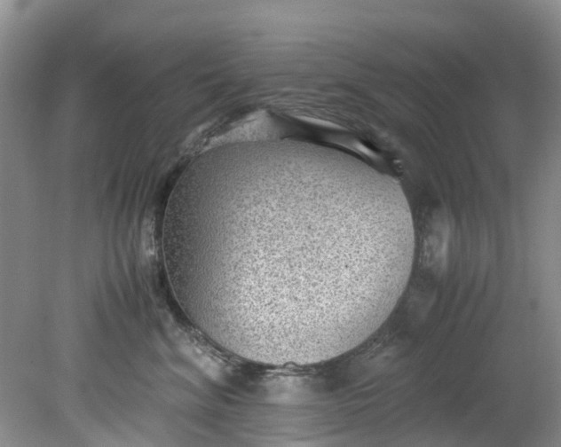 X0000079340620200612011935