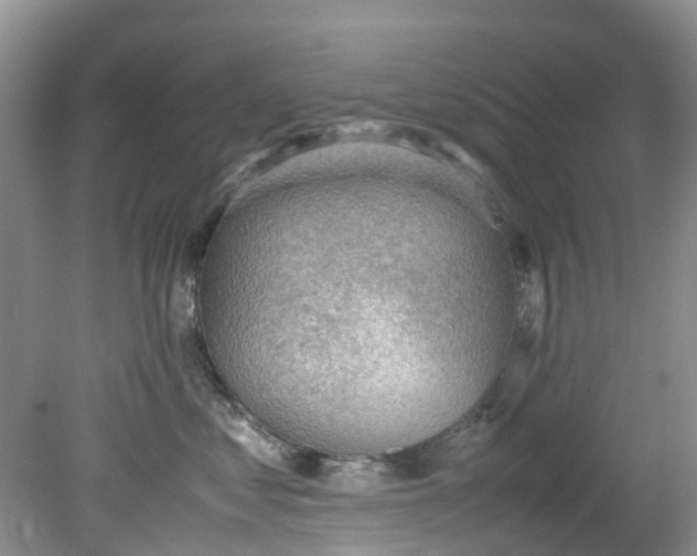 X0000079340621200612011935