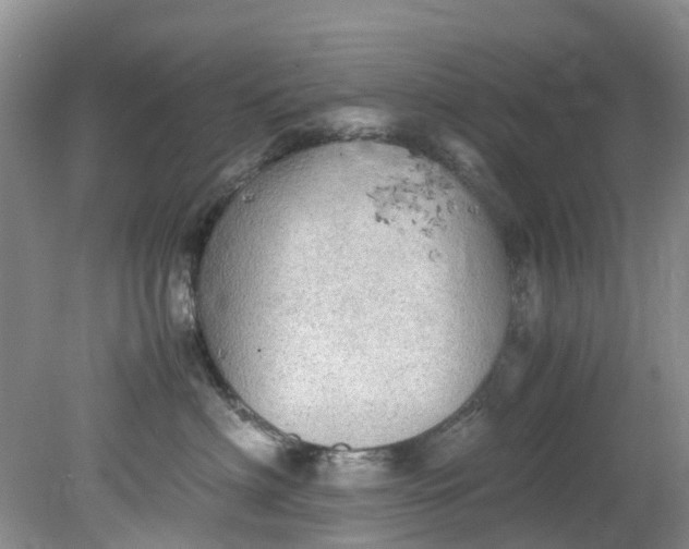 X0000079340622200612011935