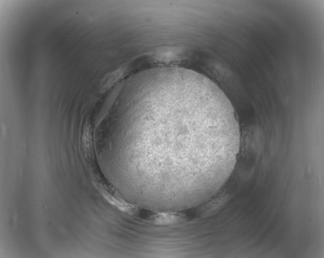 X0000079340623200612011935