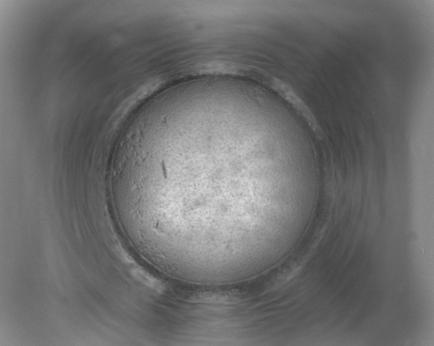 X0000079340625200612011934