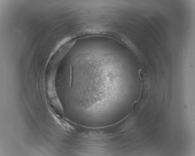 X0000079340626200612011934