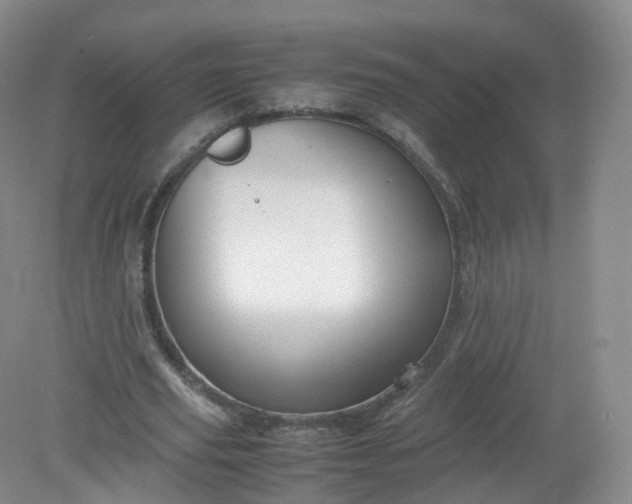 X0000079340629200612011935