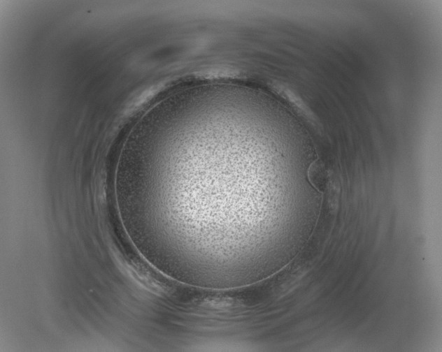 X0000079340631200612011935