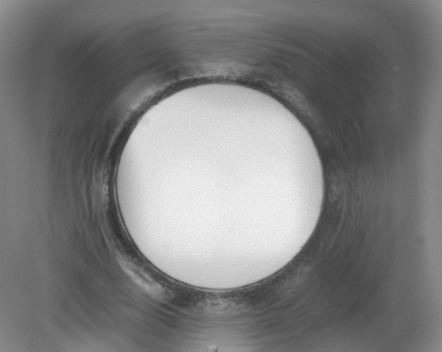 X0000079340632200612011935