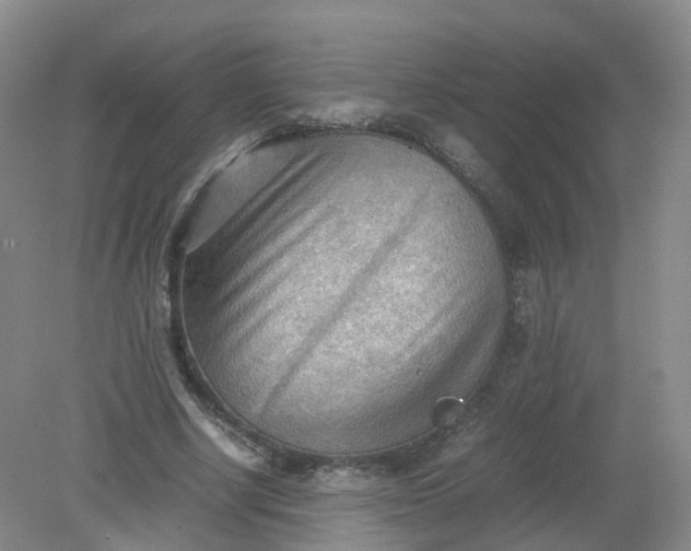 X0000079340634200612011935