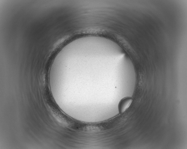 X0000079340636200612011935