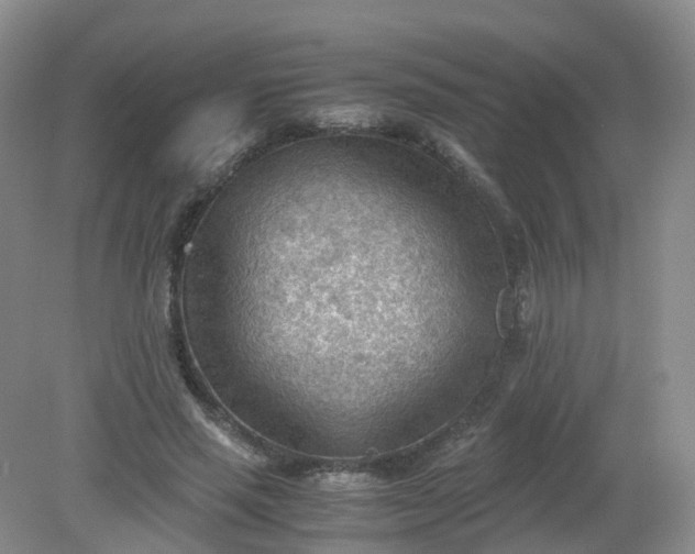 X0000079340637200612011935