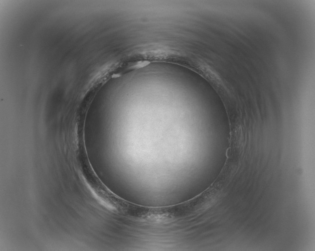 X0000079340638200612011935