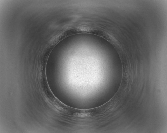 X0000079340639200612011935