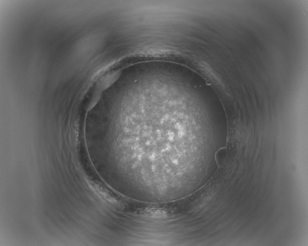 X0000079340640200612011935