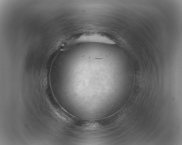 X0000079340642200612011935