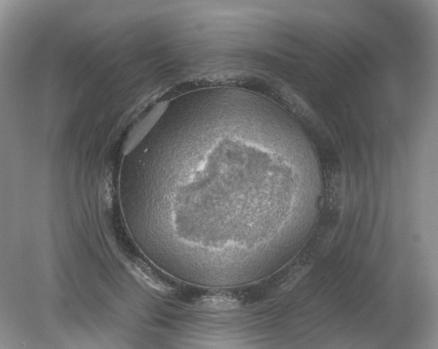 X0000079340644200612011935